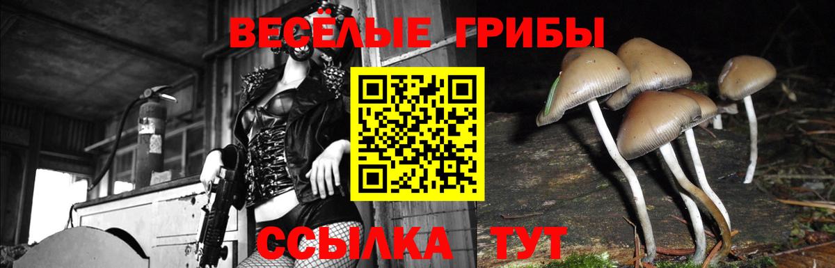 Валуйки  Галлюциногенные грибы Psilocybe  Галлюциногенные грибы мухоморы  Вход с VPN 